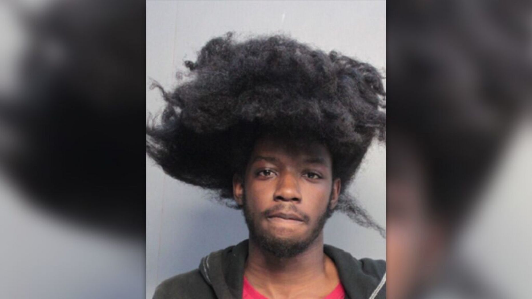 UPS - MIAMI- THEFT ARREST - HAIR VIA FOX 12-5-19.jpg